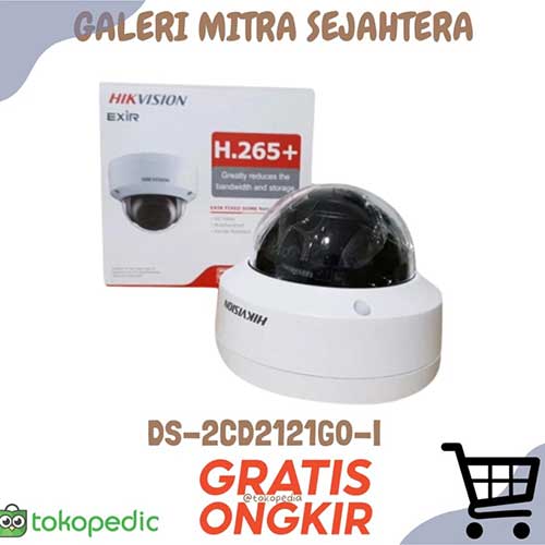 Camera Hikvision IP 2MP Indoor DS-2CD2121G0-I